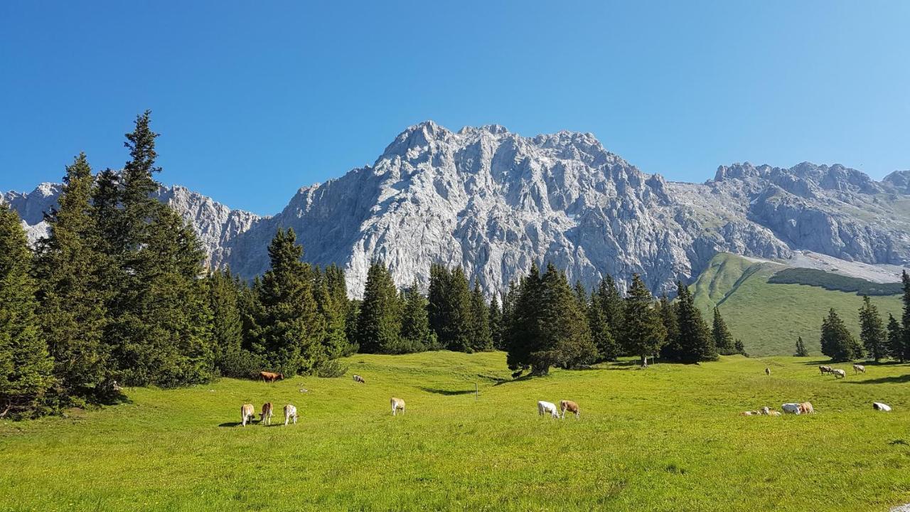 Ferienhaus Villa Alpenpanorama Ohlstadt Exteriér fotografie